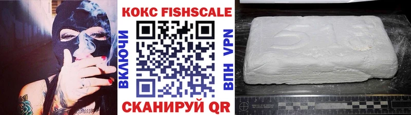 Купить закладки  Себеж  COCAIN Эквадор 