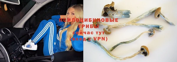дмт Горняк
