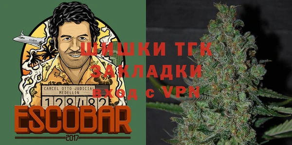 дмт Горняк