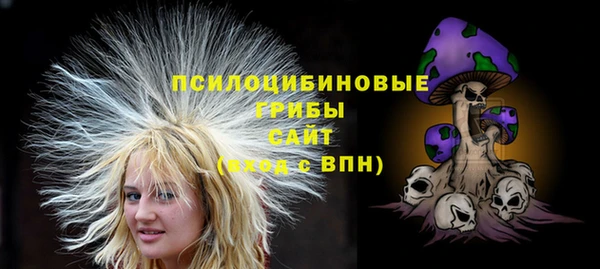 дмт Горняк