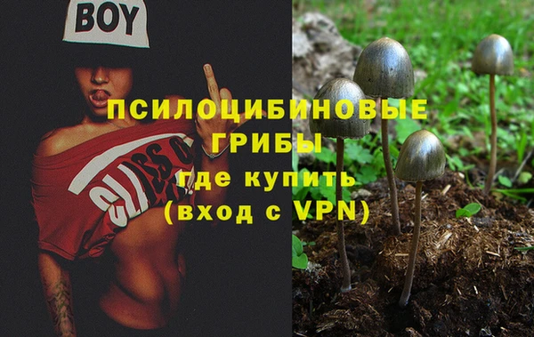 дмт Горняк