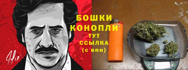 дмт Горняк