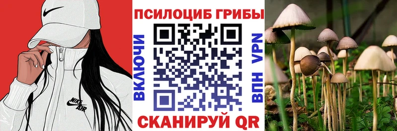 Купить  Себеж  Галлюциногенные грибы MAGIC MUSHROOMS 