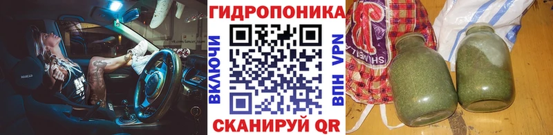 Купить  Себеж  Бошки Шишки гибрид 